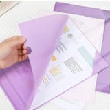 クリアファイル 5枚セット A4 | PlusNao | 詳細画像8 