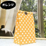 紙袋 ペーパーバッグ ギフト袋 | PlusNao | 詳細画像4 