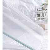 クリアファイル 10枚セット スライドファイル | PlusNao | 詳細画像7 