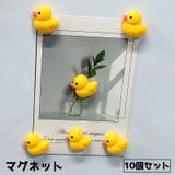 マグネット 10個セット 磁石 | PlusNao | 詳細画像1 