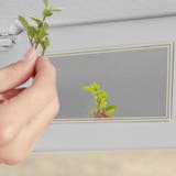 ルームミラー サンバイザーミラー インサイトミラー | PlusNao | 詳細画像6