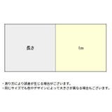 車用プロテクションフィルム 1m カー用品 | PlusNao | 詳細画像20