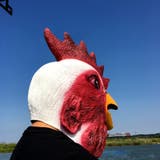 仮装マスク 変身マスク ハロウィン | PlusNao | 詳細画像2