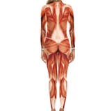 全身タイツ ボディタイツ コスチューム | PlusNao | 詳細画像4 