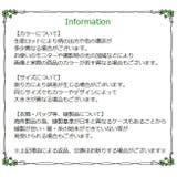 フィットネス水着 上下セット セパレートタイプ | PlusNao | 詳細画像20