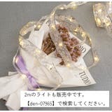 イルミネーションLEDライト 5m 屋内用 | PlusNao | 詳細画像5 