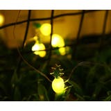 イルミネーションライト LED 電池式 | PlusNao | 詳細画像6 