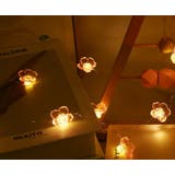 イルミネーションライト LED 電池式 | PlusNao | 詳細画像9 