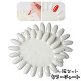 カラーチャート 4個セット ネイルチャート | PlusNao | 詳細画像1