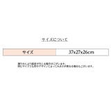 衣類収納ボックス 折りたたみ 衣装ケース | PlusNao | 詳細画像8 