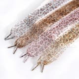 靴紐 靴ひも シューレース | PlusNao | 詳細画像11 