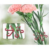 植物用ステムホルダー 植物サポーター 4個セット | PlusNao | 詳細画像3