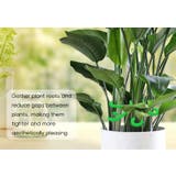 植物用ステムホルダー 植物サポーター 4個セット | PlusNao | 詳細画像4