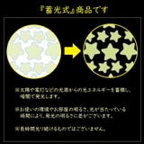 テントペグ 蓄光 夜光 | PlusNao | 詳細画像13