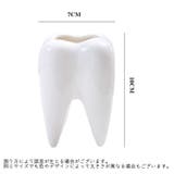 植木鉢 フラワーポット プランター | PlusNao | 詳細画像7 