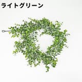 フェイクグリーン 人工観葉植物 造花 | PlusNao | 詳細画像12 