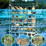 コレクションケース 貝殻 石 | PlusNao | 詳細画像2 