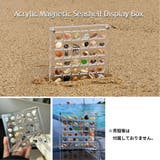 コレクションケース 貝殻 石 | PlusNao | 詳細画像3 