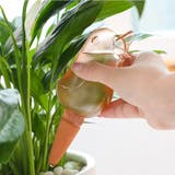 自動給水器 自動水やり器 オート水やり器 | PlusNao | 詳細画像3