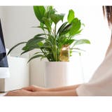 自動給水器 自動水やり器 オート水やり器 | PlusNao | 詳細画像5