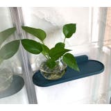 ウォールシェルフ 壁掛けシェルフ 壁掛け棚 | PlusNao | 詳細画像2 