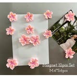 マグネット 12個セット 磁石 | PlusNao | 詳細画像1