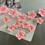 マグネット 12個セット 磁石 | PlusNao | 詳細画像3