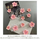 マグネット 12個セット 磁石 | PlusNao | 詳細画像5