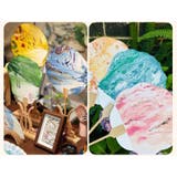 うちわ 団扇 扇 | PlusNao | 詳細画像11 