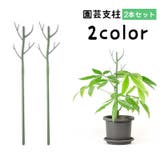 園芸支柱 2本セット 70cm | PlusNao | 詳細画像1 
