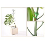 園芸支柱 2本セット 70cm | PlusNao | 詳細画像5 