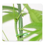 園芸支柱 2本セット 70cm | PlusNao | 詳細画像7 