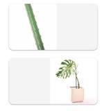 園芸支柱 2本セット 70cm | PlusNao | 詳細画像8 