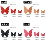 ウォールデコレーション 48点セット 3D | PlusNao | 詳細画像12 