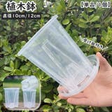 植木鉢 単品 1個 | PlusNao | 詳細画像1