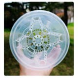 植木鉢 単品 1個 | PlusNao | 詳細画像9