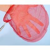 タモ網 玉網 魚取り網 | PlusNao | 詳細画像7