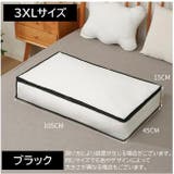 衣類収納ボックス 収納ケース 半透明 | PlusNao | 詳細画像10 