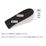 ハーフインソール シークレットインソール かかと用 | PlusNao | 詳細画像6 