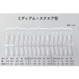 ネイルチップ 300枚入り 付け爪 | PlusNao | 詳細画像9 