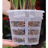 水耕栽培ポット 3個セット 育苗ポット | PlusNao | 詳細画像10 