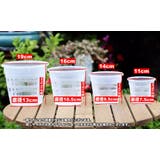 水耕栽培ポット 3個セット 育苗ポット | PlusNao | 詳細画像13 