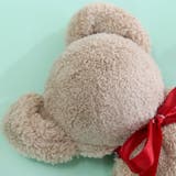 【6個セット】感謝を伝える タオルベア タオルセット | PlusNao | 詳細画像12 