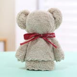 【6個セット】感謝を伝える タオルベア タオルセット | PlusNao | 詳細画像8 