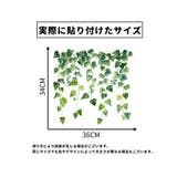 ウォールステッカー 壁ステッカー インテリア | PlusNao | 詳細画像11