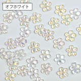 3Dネイルパーツ 同色30個入り ネイルアート | PlusNao | 詳細画像7