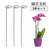 園芸支柱 3本セット 誘引 | PlusNao | 詳細画像1