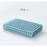 フェイスタオル 単品 1枚 | PlusNao | 詳細画像13