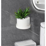 ウォールシェルフ ウォールラック 壁掛けトレイ | PlusNao | 詳細画像5 