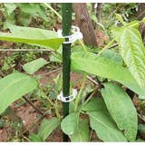 園芸用クリップ 誘引クリップ 100個入り | PlusNao | 詳細画像6 